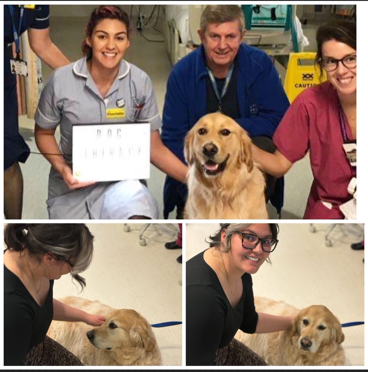 Charlotte (@hitchcharlotte) on Twitter photo <a href="/GismoPATdog/">GismoPATdog💙 🇺🇦</a> was lovely to see you earlier, 5 years difference. Differnt job role for me but back with my OG family <a href="/GHFT_DCC/">GHFT Critical Care</a> ! <a href="/HamiltonMedical/">Hamilton Medical</a> can we have <a href="/PetsAsTherapyUK/">Pets As Therapy</a> in the office please 🙏 <a href="/GismoPATdog/">GismoPATdog💙 🇺🇦</a> was lovely to see you earlier, 5 years difference. Differnt job role for me but back with my OG family <a href="/GHFT_DCC/">GHFT Critical Care</a> ! <a href="/HamiltonMedical/">Hamilton Medical</a> can we have <a href="/PetsAsTherapyUK/">Pets As Therapy</a> in the office please 🙏
