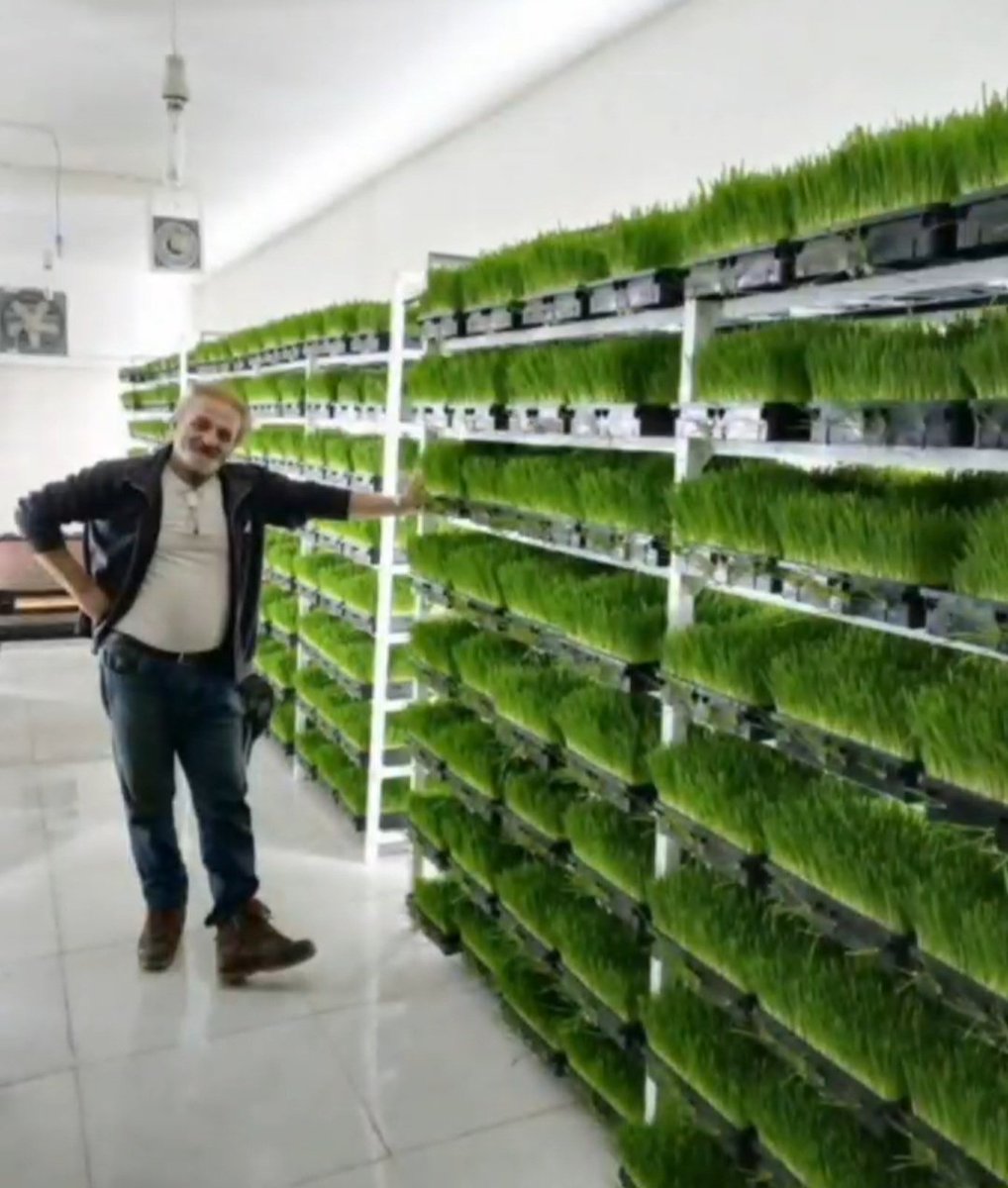 hydroponic