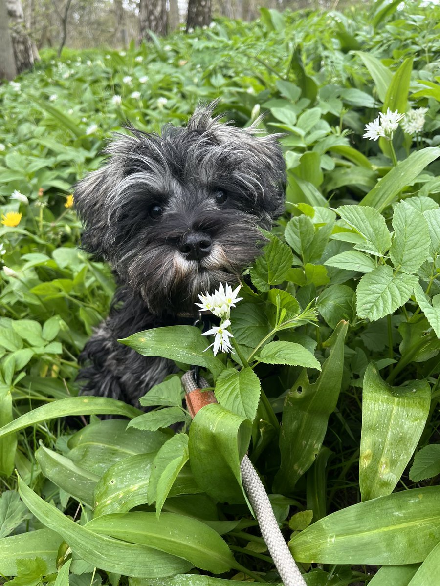 It’s going to be hard going back to work and leaving this little face on Monday!