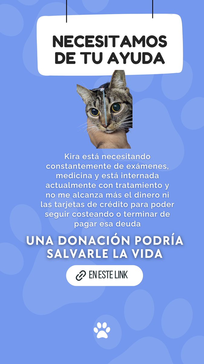 Mi gatita lleva en atenciones más de un mes y se vienen unas dos semanas más de tratamiento, pero me ha consumido más dinero del que dispongo y ahora tengo una nueva deuda fuerte por pagar que sigue aumentando

Si pueden darle RT, lo agradecería mucho

linktr.ee/kiradonaciones
