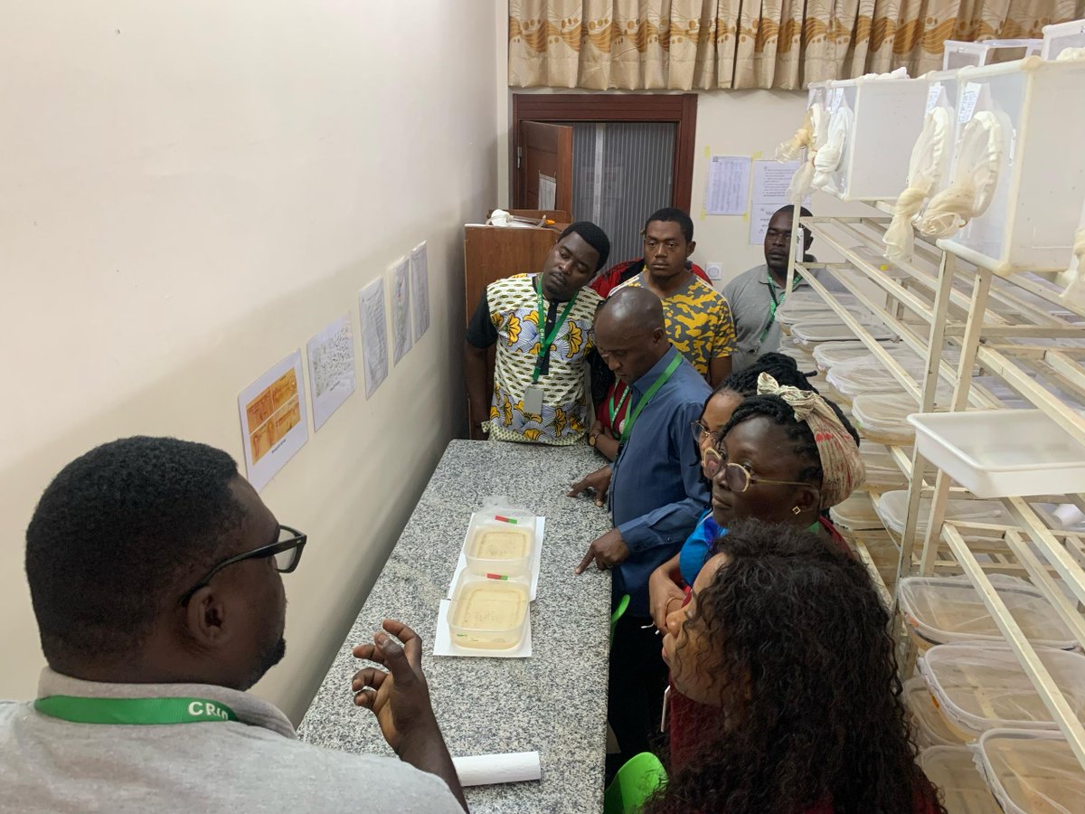 cam_crid's tweet image. Today, April 25, 2025, is #WMD2025. Over thirty staff members  participated in a tour of #CRID&apos;s #insectary and #laboratories to gain  insights into our research activities. They understood the #ethics,  #techniques, and purposes behind our work.