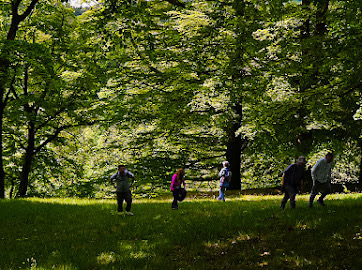 Emily Cutts (@dearwild) on Twitter photo I'm delighted to be starting the delivery of our Forest School Assistant training course <a href="/CampsieGlenCiC/">Campsie Glen Woodland</a> next week.
Looking forward to welcoming local teachers. The team will gain a Assistant Forest School and Outdoor Learning Award at SCQF level 6.
The <a href="/G20YouthProject/">G20 Youth Project</a> young I'm delighted to be starting the delivery of our Forest School Assistant training course <a href="/CampsieGlenCiC/">Campsie Glen Woodland</a> next week.
Looking forward to welcoming local teachers. The team will gain a Assistant Forest School and Outdoor Learning Award at SCQF level 6.
The <a href="/G20YouthProject/">G20 Youth Project</a> young