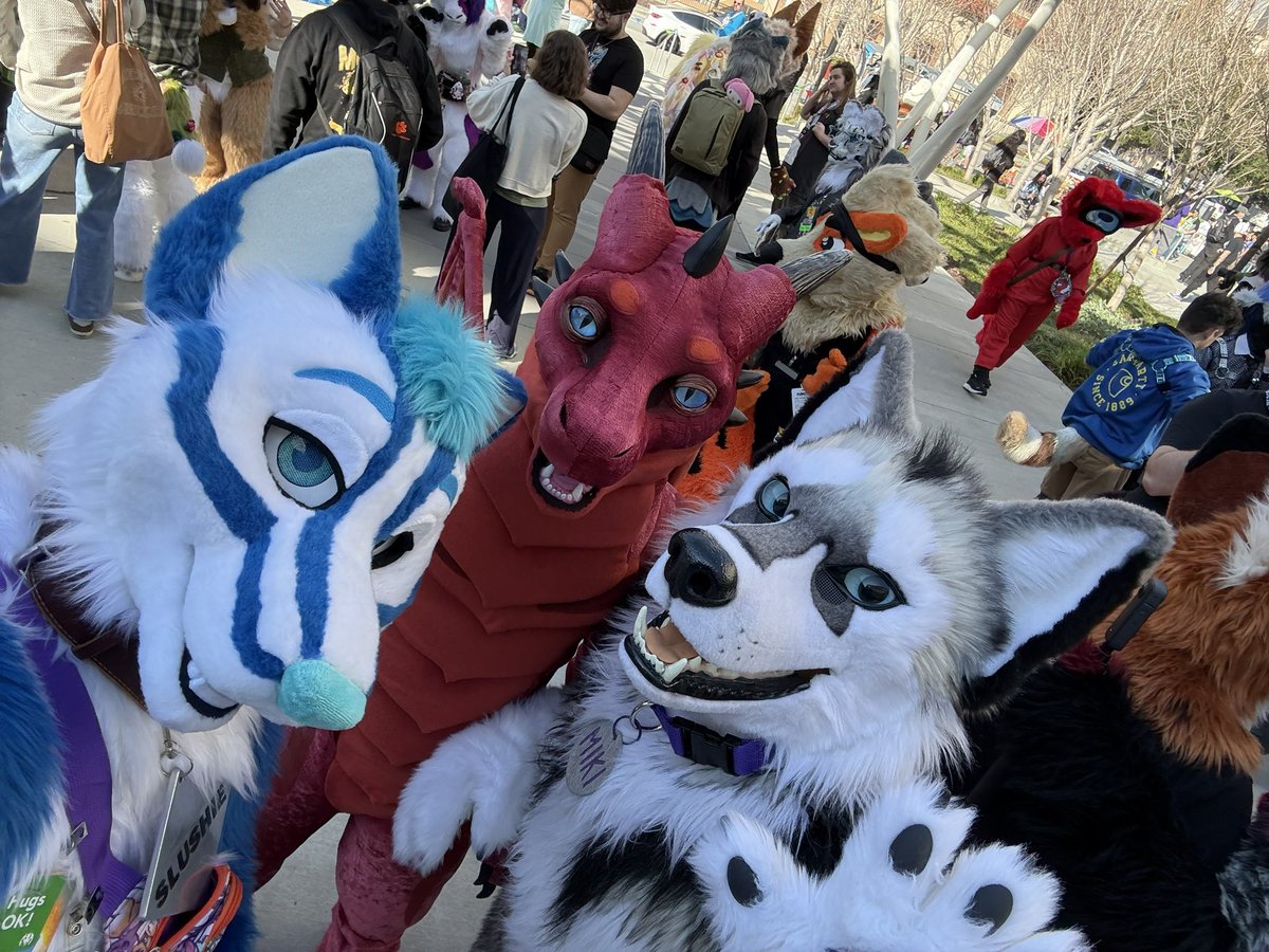 Slushie Husky 🔜 ? (@slushie_husky) on Twitter photo Heck, I really need to go to another con. I miss that feeling of freedom—just being fluffy and meeting awesome people. And of course, all the friends who live too far away to visit regularly.
The very cute 🐕 is <a href="/Pup_Leo/">Kory💜Miki💙Razz</a>, and the beautiful 🐉 is <a href="/rubberdeer/">Fuckin Rubber Deer @rubberdeer.bsky.social</a> Heck, I really need to go to another con. I miss that feeling of freedom—just being fluffy and meeting awesome people. And of course, all the friends who live too far away to visit regularly.
The very cute 🐕 is <a href="/Pup_Leo/">Kory💜Miki💙Razz</a>, and the beautiful 🐉 is <a href="/rubberdeer/">Fuckin Rubber Deer @rubberdeer.bsky.social</a>