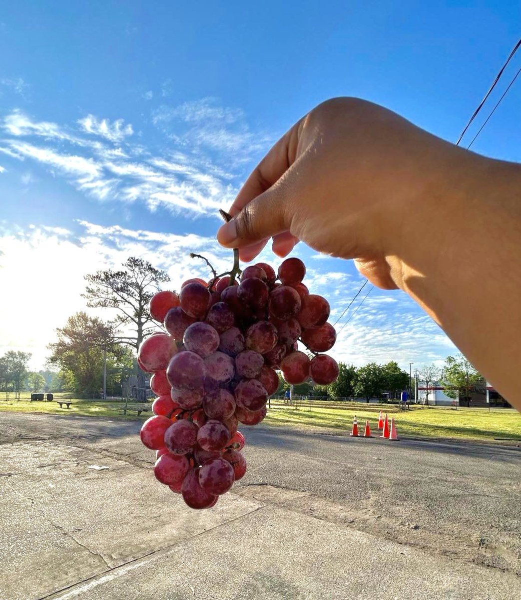 these grapes are unreal