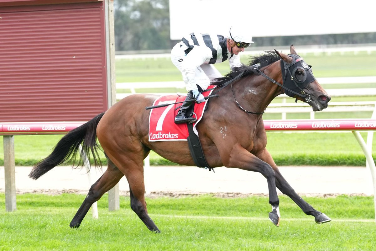 We Finally back on X🙌🏽 2nd winner out of 9 runners since returning home from Singapore.

𝑰𝑪𝑬𝑫 𝑪𝑯𝑶𝑪𝑶𝑳𝑨𝑻𝑬 

25 ᴀᴘʀɪʟ 2025
ᴍᴏᴇ, ʀᴀᴄᴇ 1 - 7
ᴊᴏᴄᴋᴇʏ 👉🏽 ᴅ ᴍᴏᴏʀ