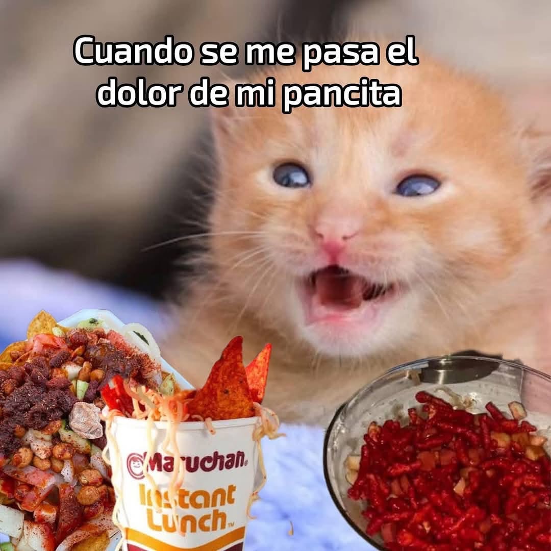 Maestre Mapaxito (@mapaxitouwu) on Twitter photo 