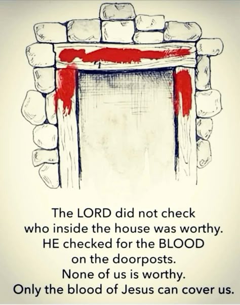 𝕊𝕠𝕝𝕒 ℂ𝕙𝕒𝕕 🎚️ (@sola_chad) on Twitter photo 