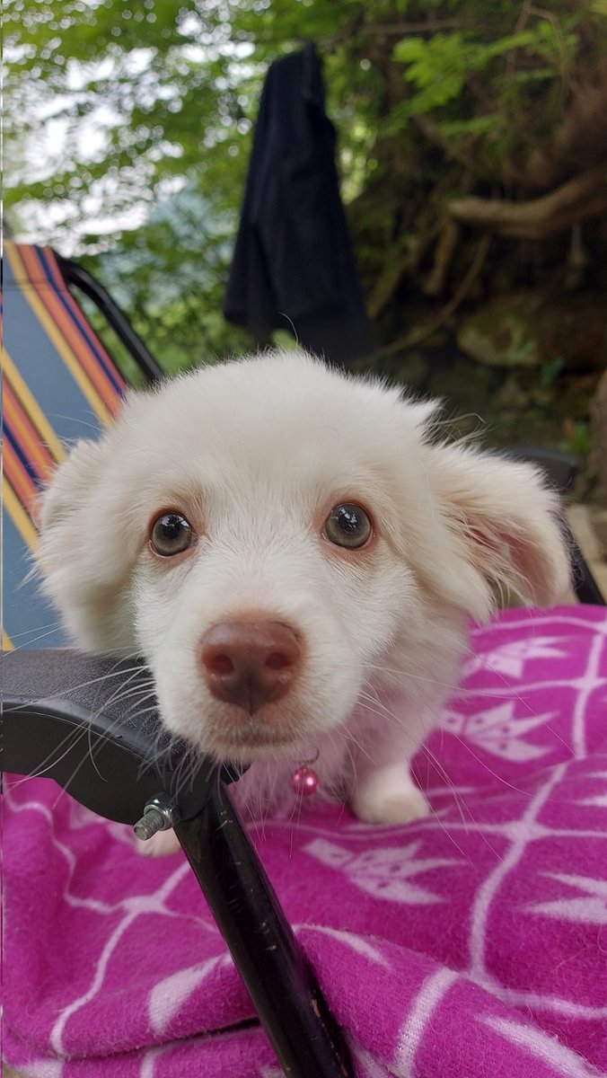 سلام از شیدو :))))