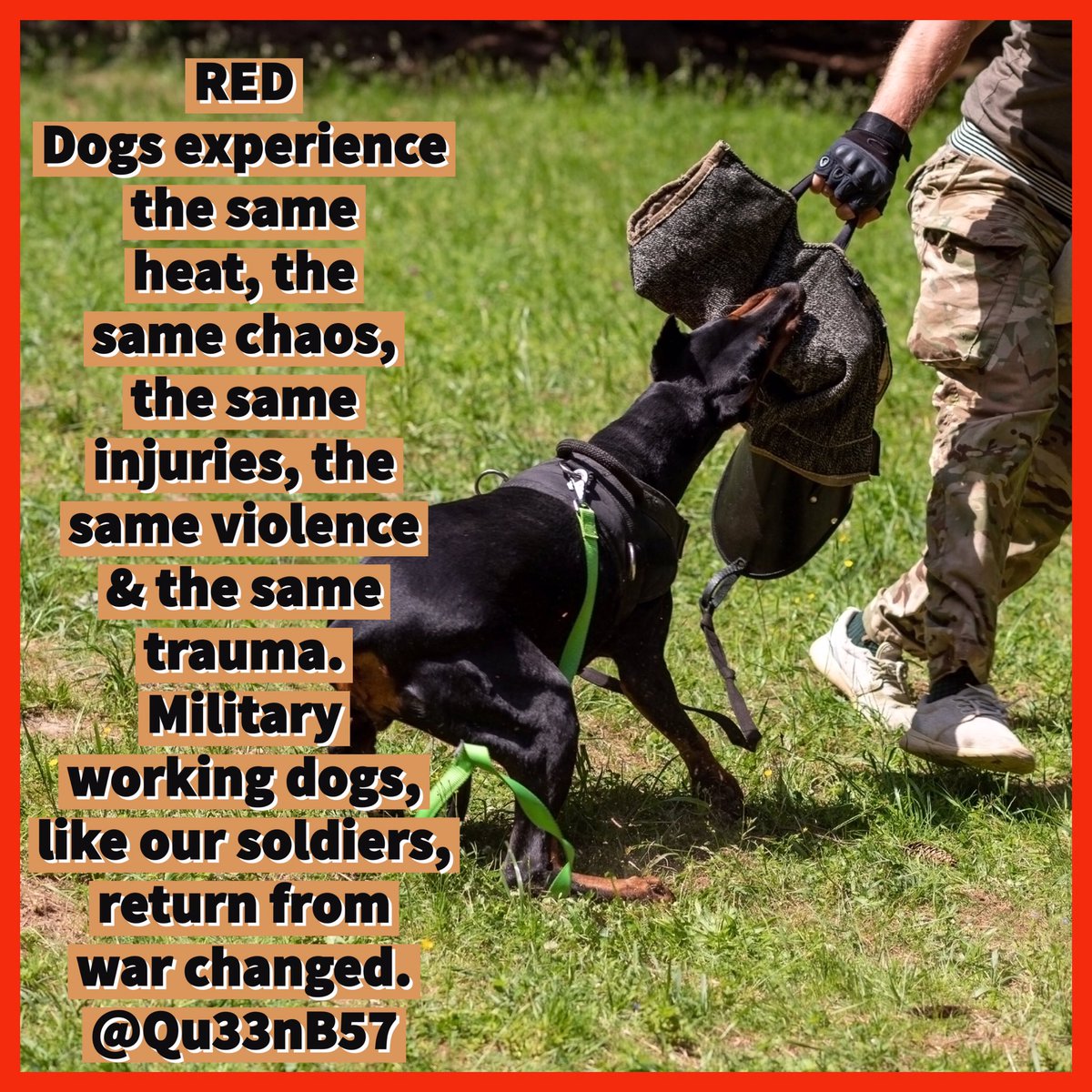 ๐ธQueen B๐ (@qu33nb57) on Twitter photo RED
#Honour
<a href="/DogFacePonyBoy1/">Dog Face Pony Soldier</a>
<a href="/dj_baar/">DJ_Baar</a>
<a href="/Desertroamer83/">Desert Roamer</a>
<a href="/originalMarWren/">ExWren</a>
<a href="/_vet96/">Mike</a>
<a href="/UlmerRicha13288/">Rich_Ul05</a>
<a href="/DDG43USN/">DDG43 ๐บ๐ธ</a>
<a href="/yachtzco/">โ Art - 11th Armored Cavโ</a>
<a href="/JohnZim00616636/">John Zimmerman</a>
<a href="/DrDetroit_79/">๐บ๐ธ โ๏ธ Dr. Detroit โ๏ธ๐บ๐ธ</a>
<a href="/GregTodd4/">Just Greg</a>
<a href="/powerhousescott/">scott jordan ๐บ๐ฒ</a>
<a href="/LT_COL_TRAVIS/">Lt Col Travis Hord</a>
<a href="/CarlSian/">Carl Sian</a>
<a href="/sukitupbutercup/">Larry</a>
<a href="/AFretired1997/">2A4L (Randy)</a>
<a href="/RoysXaccount/">Reforming Britain</a>
<a href="/CaliRN619/">CaliRN619 ๐๐ฉบ๐</a>
<a href="/rural_veteran/">Rural Veteran</a> RED
#Honour
<a href="/DogFacePonyBoy1/">Dog Face Pony Soldier</a>
<a href="/dj_baar/">DJ_Baar</a>
<a href="/Desertroamer83/">Desert Roamer</a>
<a href="/originalMarWren/">ExWren</a>
<a href="/_vet96/">Mike</a>
<a href="/UlmerRicha13288/">Rich_Ul05</a>
<a href="/DDG43USN/">DDG43 ๐บ๐ธ</a>
<a href="/yachtzco/">โ Art - 11th Armored Cavโ</a>
<a href="/JohnZim00616636/">John Zimmerman</a>
<a href="/DrDetroit_79/">๐บ๐ธ โ๏ธ Dr. Detroit โ๏ธ๐บ๐ธ</a>
<a href="/GregTodd4/">Just Greg</a>
<a href="/powerhousescott/">scott jordan ๐บ๐ฒ</a>
<a href="/LT_COL_TRAVIS/">Lt Col Travis Hord</a>
<a href="/CarlSian/">Carl Sian</a>
<a href="/sukitupbutercup/">Larry</a>
<a href="/AFretired1997/">2A4L (Randy)</a>
<a href="/RoysXaccount/">Reforming Britain</a>
<a href="/CaliRN619/">CaliRN619 ๐๐ฉบ๐</a>
<a href="/rural_veteran/">Rural Veteran</a>