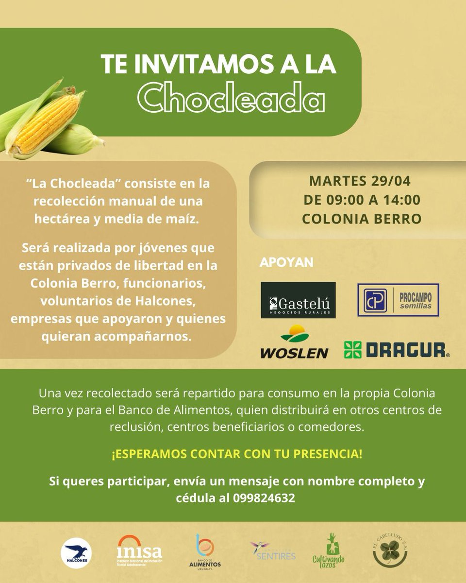 Valor Agregado (@vagregado) on Twitter photo Este martes 29/04, de 9 a 14 h, se realiza La Chocleada en Colonia Berro.
Cosecha solidaria de maíz junto a jóvenes de la colonia y voluntarios.
📲 Inscripciones al 099824632
<a href="/halcones2021/">Halcones</a> Este martes 29/04, de 9 a 14 h, se realiza La Chocleada en Colonia Berro.
Cosecha solidaria de maíz junto a jóvenes de la colonia y voluntarios.
📲 Inscripciones al 099824632
<a href="/halcones2021/">Halcones</a>