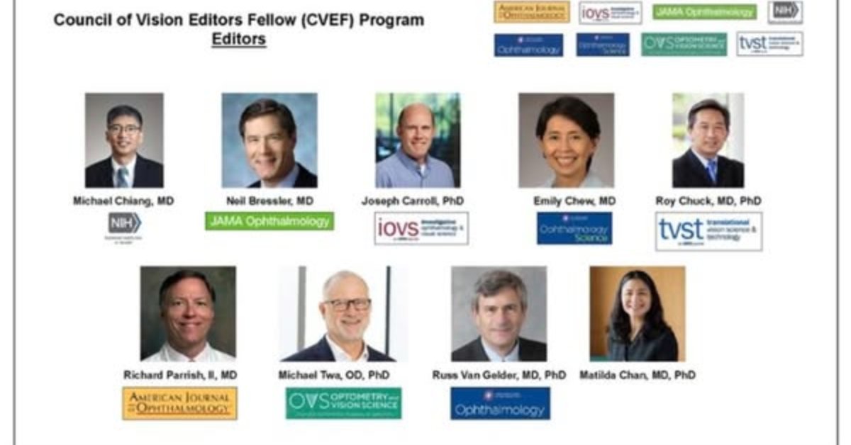 NatEyeInstitute's tweet image. Excited to welcome the new Council of Vision Editors fellows! These early-career experts will contribute to leading eye journals like @AAOjournal, @JAMAOphth, @AJOphthalmology, @ARVOiovs, @ARVOtvst, and @OPTVISSCI.

brnw.ch/21wSe7F

#CVEF #EyeHealth