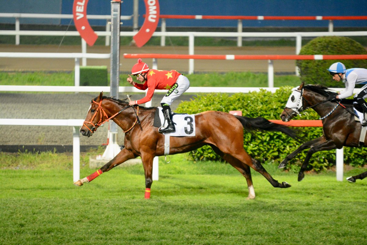 İstanbul Büyükşehir Belediye Başkanlığı Koşusu'nda galibiyete Dragon Flame uzandı

tjk.org/TR/YarisSever/…