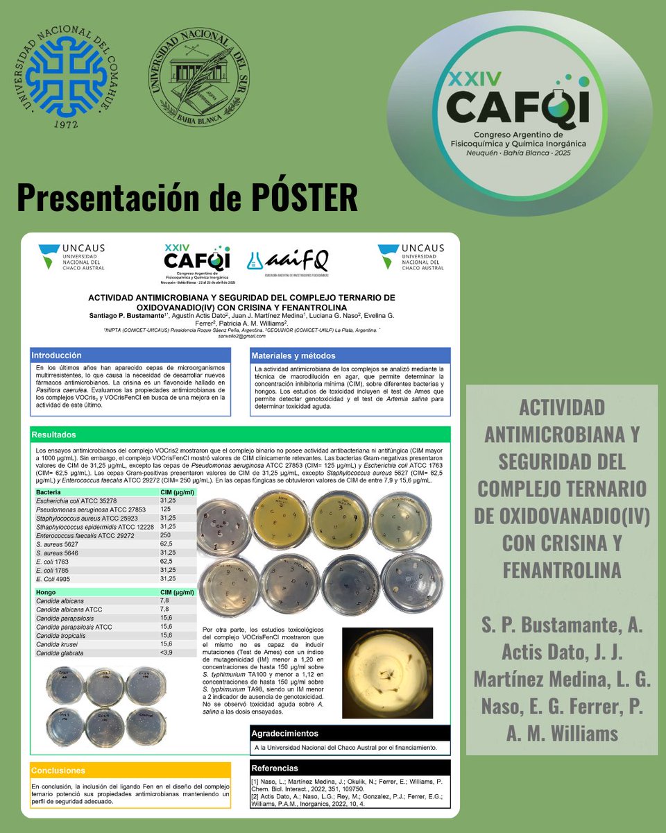 CEQUINOR (@cequinor_ok) on Twitter photo Presentación de Pósters:
1. Alexandra Velásquez
2. Janetsi Y. Caro Ramírez
3. Agustín Actis Dato
<a href="/CONICETDialoga/">CONICET Dialoga</a> <a href="/CONICETLaPlata/">CONICET La Plata</a> <a href="/unlp/">UNLP</a> <a href="/CICPBA/">Comisión de Investigaciones Científicas</a> #cafqi2025 #antitumoral #flavonoides #antitroidea #zinc #antimicrobiana #crisina Presentación de Pósters:
1. Alexandra Velásquez
2. Janetsi Y. Caro Ramírez
3. Agustín Actis Dato
<a href="/CONICETDialoga/">CONICET Dialoga</a> <a href="/CONICETLaPlata/">CONICET La Plata</a> <a href="/unlp/">UNLP</a> <a href="/CICPBA/">Comisión de Investigaciones Científicas</a> #cafqi2025 #antitumoral #flavonoides #antitroidea #zinc #antimicrobiana #crisina