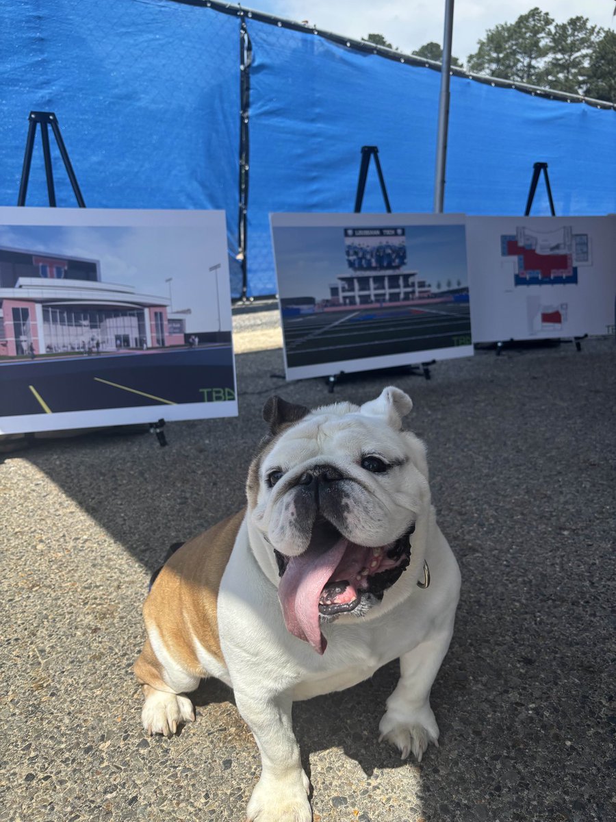 TechXXII's tweet image. I am digging the new endzone @LATech @OriginBank #CenterforStudentAthleteSuccess #mascot