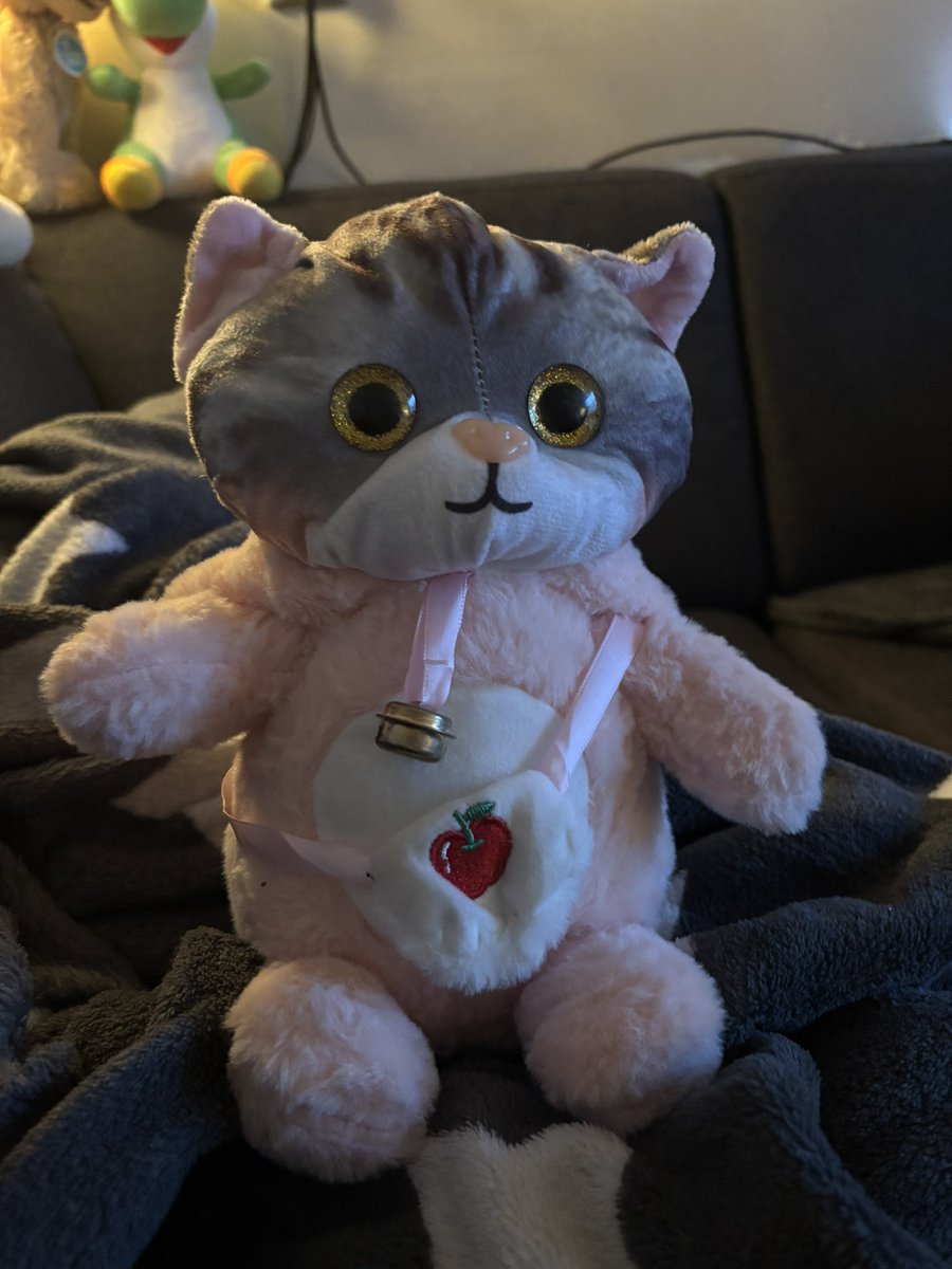 Vrouwtje wast op kerremis en heeft knuffel geschote. Ist poes die doet of knijn ist 😸 heet Bobbelientje 😺