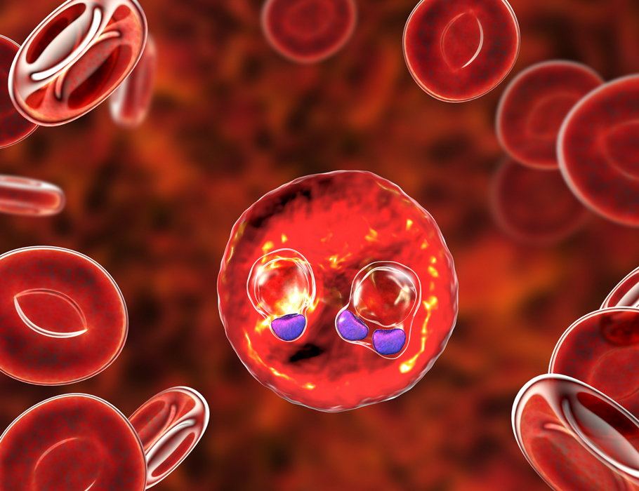 Science Immunology (@sciimmunology) on Twitter photo Scientists show that type I regulatory T (Tr1) cells dominate CD4+ #Tcell responses and underlie long-term immunity in young children and adults repeatedly exposed to #malaria. <a href="/StanfordMed/">Stanford Medicine</a> <a href="/pjagannathanlab/">Jagannathan Lab</a>
Read more in Science #Immunology: scim.ag/42sDt5p Scientists show that type I regulatory T (Tr1) cells dominate CD4+ #Tcell responses and underlie long-term immunity in young children and adults repeatedly exposed to #malaria. <a href="/StanfordMed/">Stanford Medicine</a> <a href="/pjagannathanlab/">Jagannathan Lab</a>
Read more in Science #Immunology: scim.ag/42sDt5p
