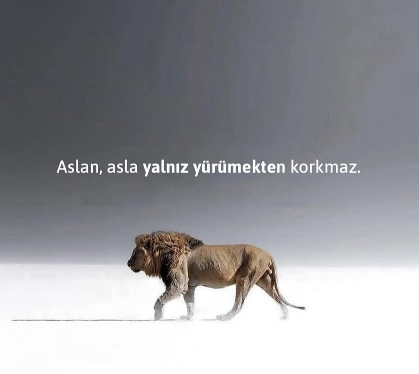 İyi geceler. 🌙 

Aslan, asla yalnız yürümekten korkmaz.