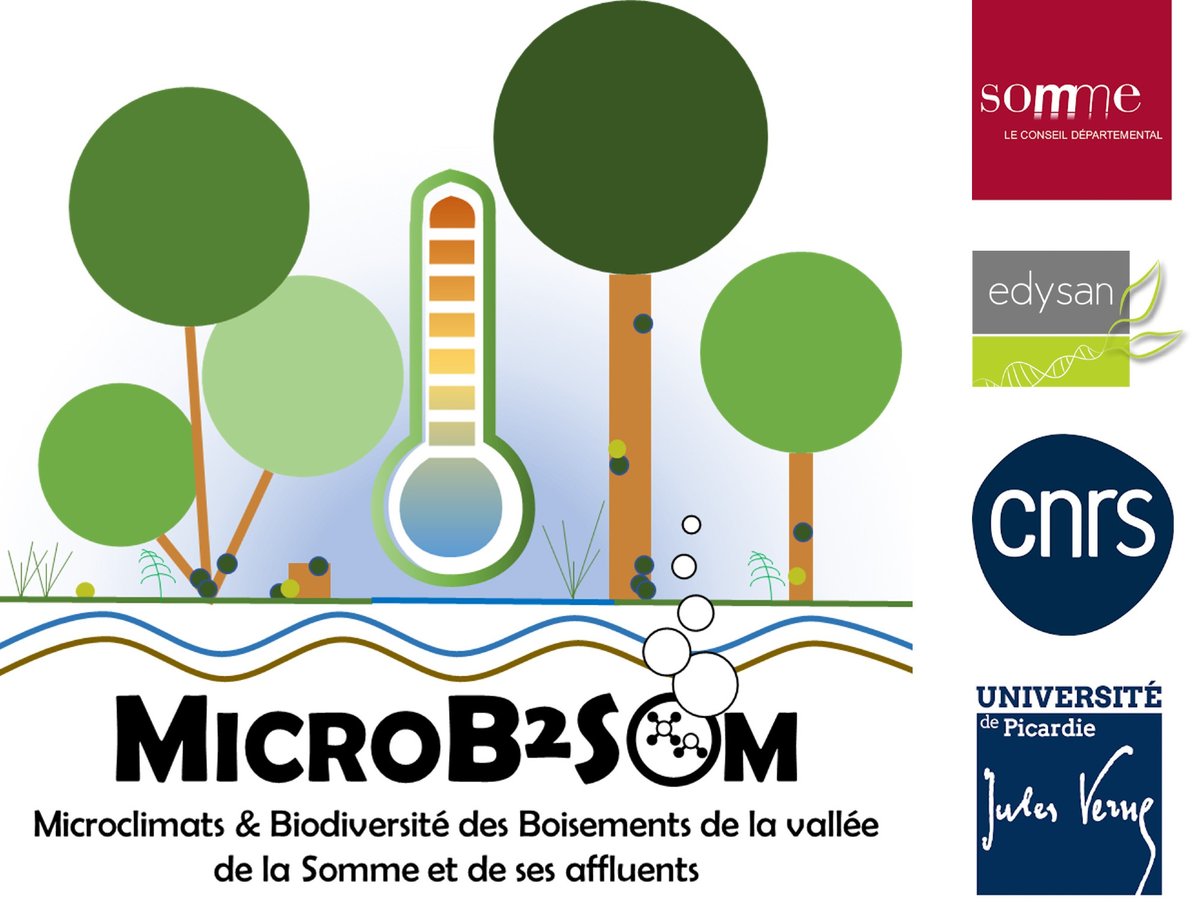Spicher Fabien (@f_spicher) on Twitter photo Since 3 weeks, researchers from #UMR_EDYSAN installing plots for the #MicroB2Som project. This project aims to study microclimates 🌡️, GHG emissions, and the biodiversity of woodlands🌳 on peat soils💧 within #RAMSAR site of the Somme and Avre valleys. Supported by <a href="/Somme_fr/">Département de la Somme</a> Since 3 weeks, researchers from #UMR_EDYSAN installing plots for the #MicroB2Som project. This project aims to study microclimates 🌡️, GHG emissions, and the biodiversity of woodlands🌳 on peat soils💧 within #RAMSAR site of the Somme and Avre valleys. Supported by <a href="/Somme_fr/">Département de la Somme</a>