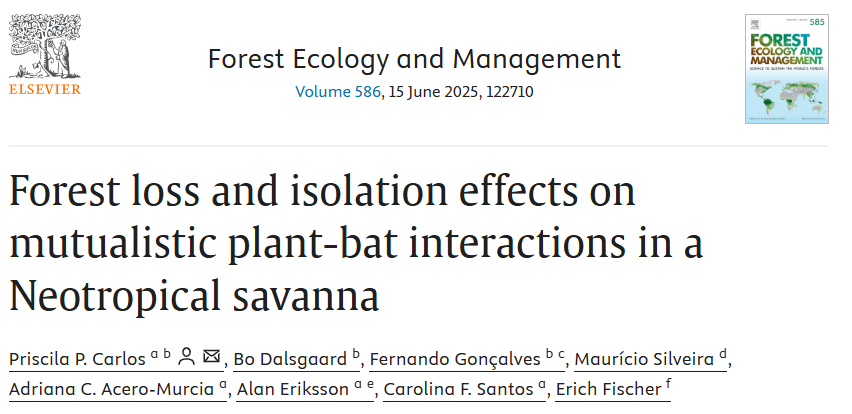 🦇🌳 Our new study shows that in isolated and low-forest areas, bat–plant networks become smaller, more connected, less modular, and species-poor. This heightened the importance of protect areas and mid-size fragmentes. 

doi.org/10.1016/j.fore…
 #conservation #ecologicalnetwork