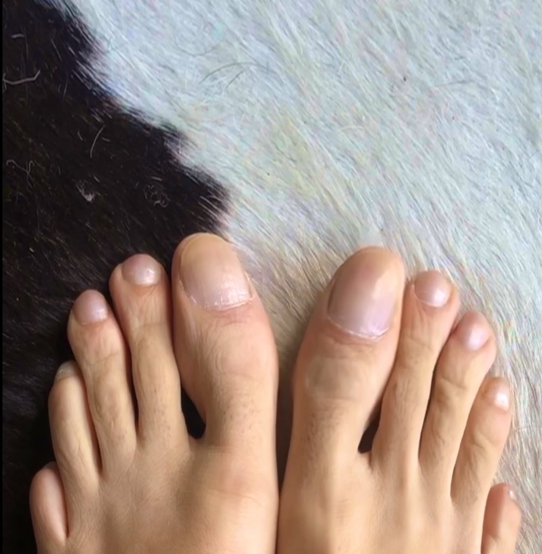 AlphaCoin233's tweet image. #malefeet #footfetish #malefootmodel #prettyfeet #alphafeet #dudefeet #maletoes #mentoes #prettytoes #cashmaster #findom #menfeettoes #malefeetlovers #menfeetworship  #feetargentina #feetargentinagay #feetgram #feetgay #feetmodels #gayflipflops #gayfeetlove #gayfootworship…