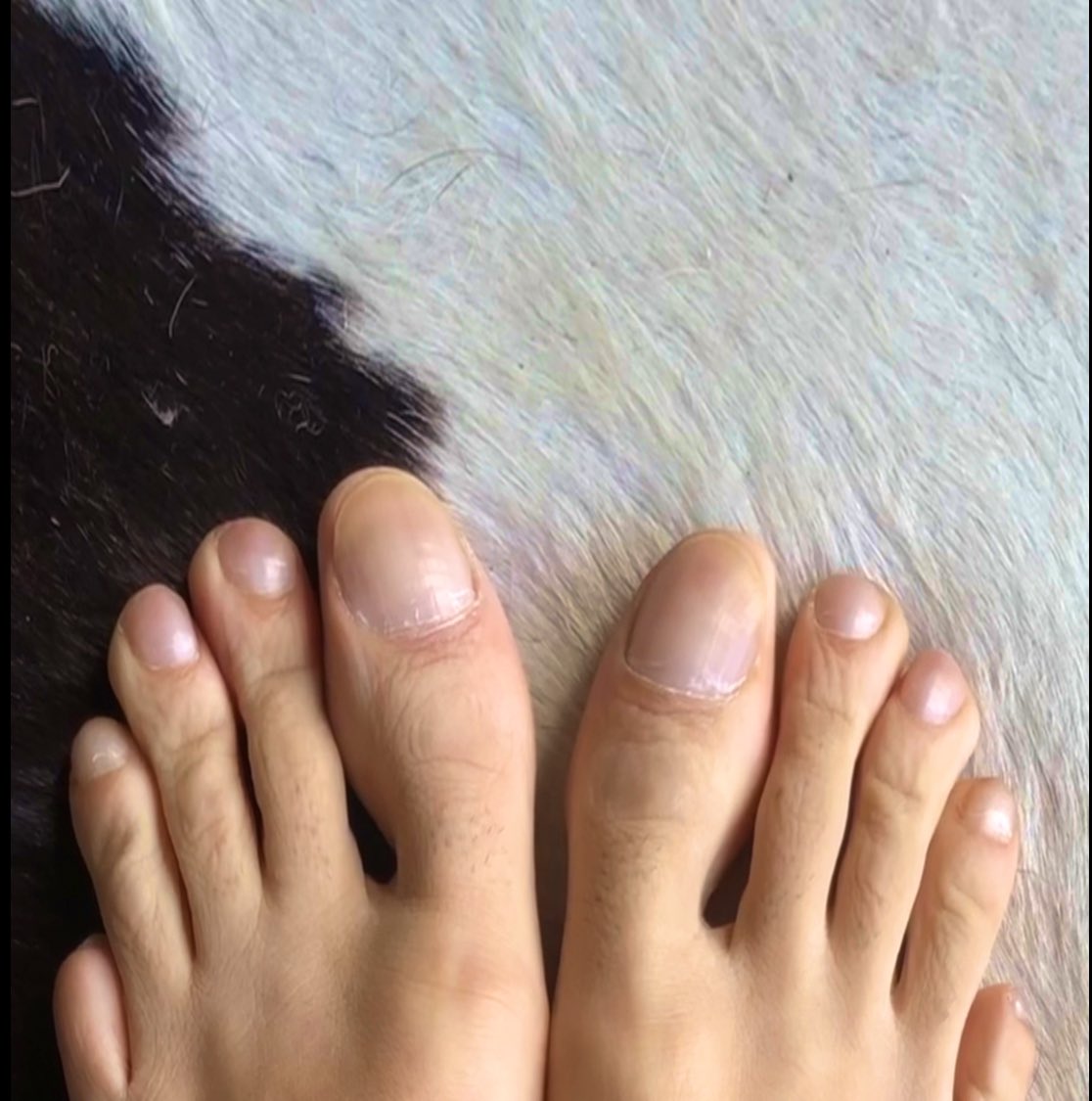 AlphaCoin233's tweet image. #malefeet #footfetish #malefootmodel #prettyfeet #alphafeet #dudefeet #maletoes #mentoes #prettytoes #cashmaster #findom #menfeettoes #malefeetlovers #menfeetworship  #feetargentina #feetargentinagay #feetgram #feetgay #feetmodels #gayflipflops #gayfeetlove #gayfootworship…