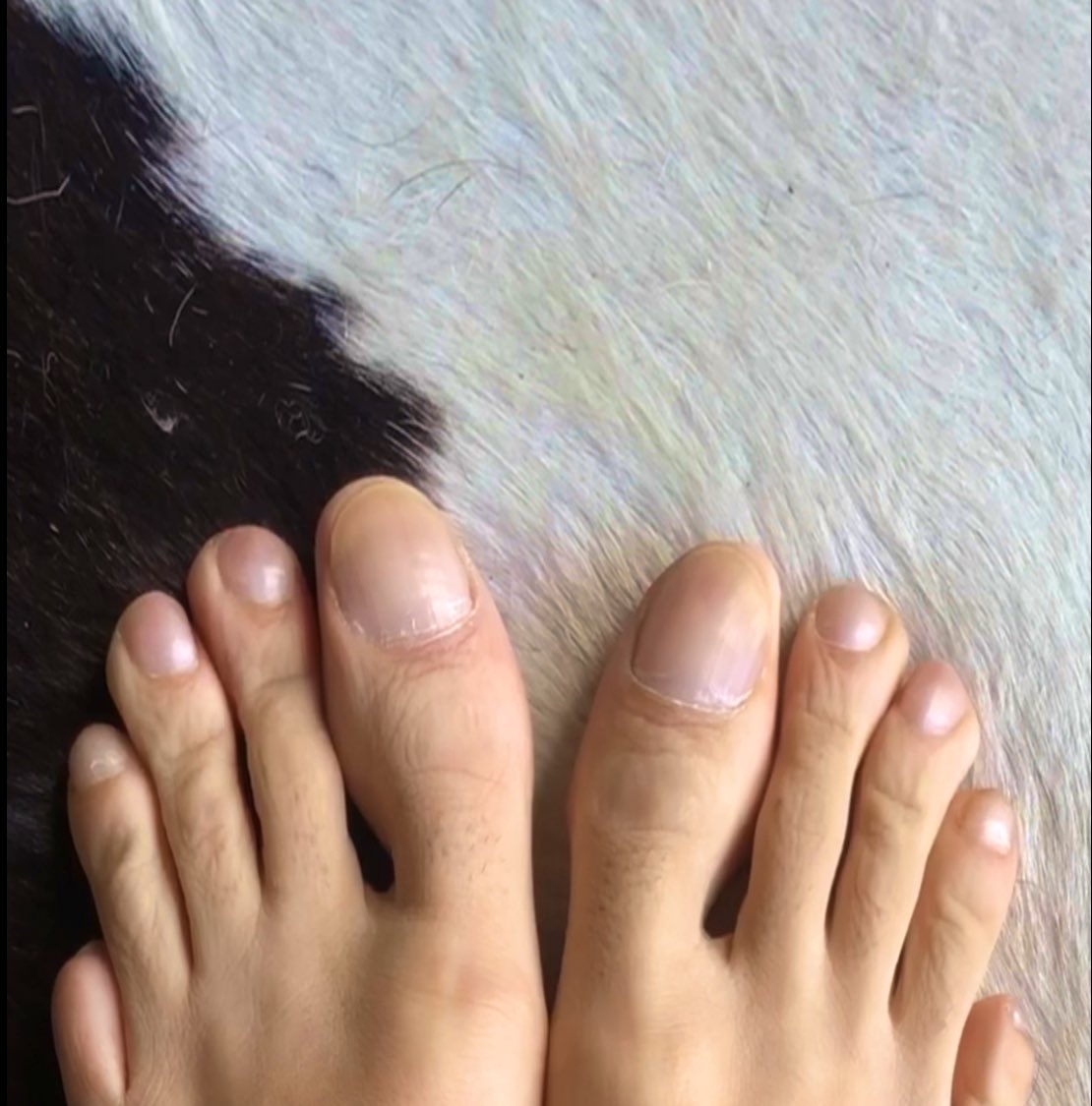 AlphaCoin233's tweet image. #malefeet #footfetish #malefootmodel #prettyfeet #alphafeet #dudefeet #maletoes #mentoes #prettytoes #cashmaster #findom #menfeettoes #malefeetlovers #menfeetworship  #feetargentina #feetargentinagay #feetgram #feetgay #feetmodels #gayflipflops #gayfeetlove #gayfootworship…