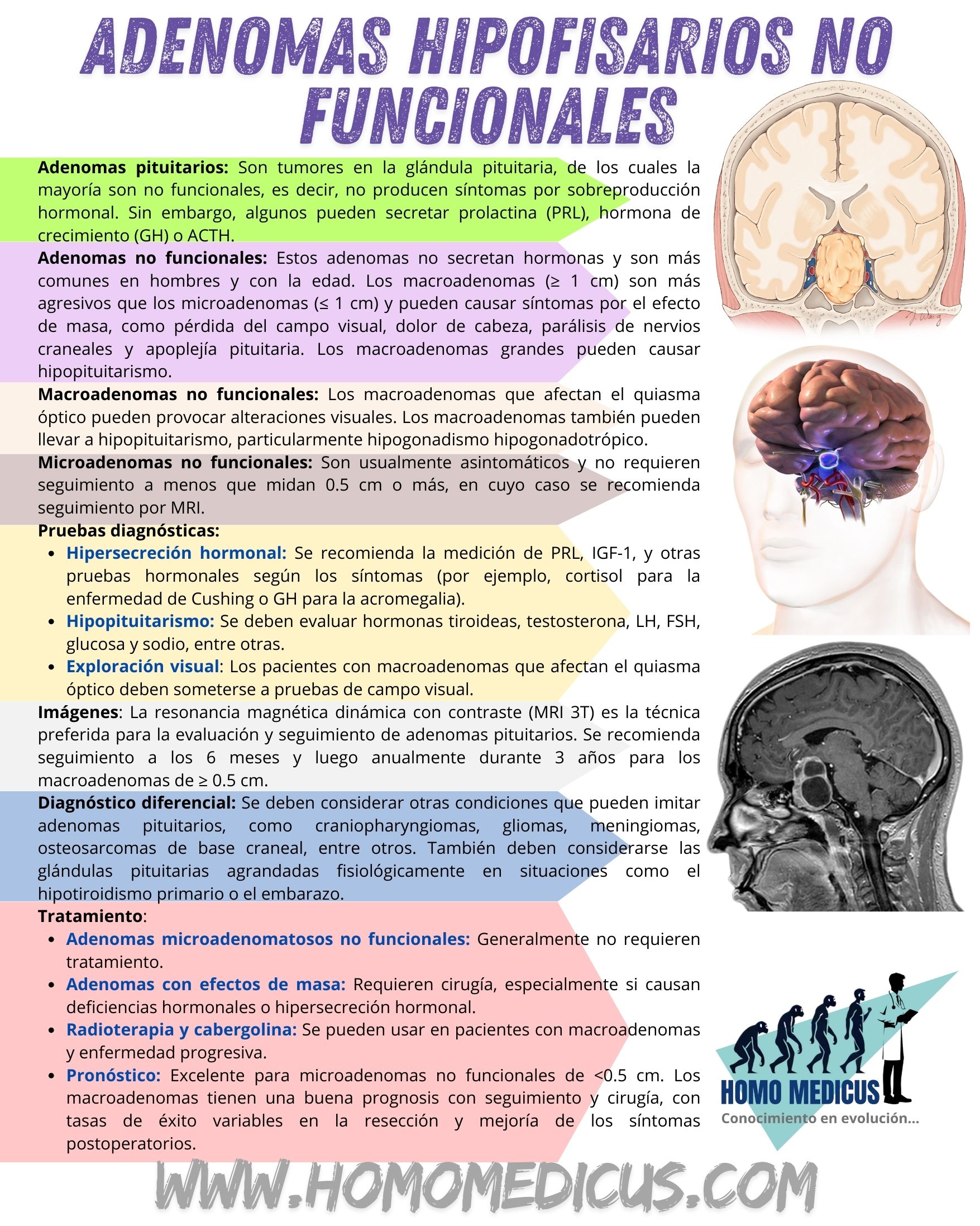🎴TARJETA DE REPASO: ADENOMAS HIPOFISIARIOS NO FUNCIONALES