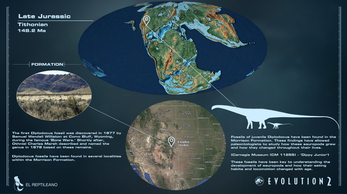 Diplodocus in its "Accurate" version
