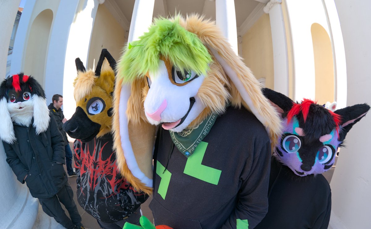 Backstreets back, Alright!!! Happy #FursuitFriday 

Photo By <a href="/Oposum8/">Oposum🔜 AWOO / JmoF</a>