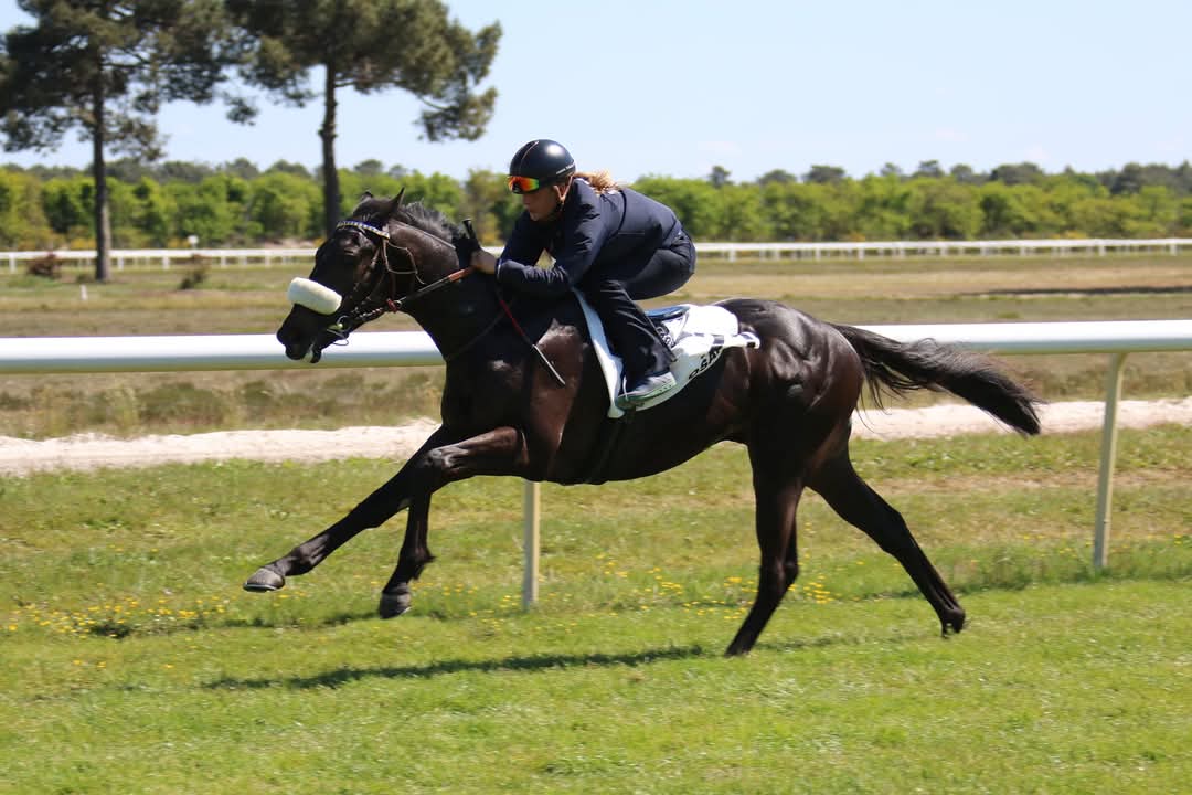 OSARUS (@osarussales) on Twitter photo ๐ฅ ๐๐๐๐๐๐๐๐๐๐ #breezeupwinner
Easy win for LOUBEISIEN in the Prix d'Autreches today at Compiรจgne for FX.Weissmeier & Giovanni Sias
๐ท๏ธ He was purchased for 35kโฌ by Christophe Ferland from Christophe Pautier at the La Teste Breeze-up sale in 2021
๐ฅ5 wins
๐ฐ 275kโฌ ๐ฅ ๐๐๐๐๐๐๐๐๐๐ #breezeupwinner
Easy win for LOUBEISIEN in the Prix d'Autreches today at Compiรจgne for FX.Weissmeier & Giovanni Sias
๐ท๏ธ He was purchased for 35kโฌ by Christophe Ferland from Christophe Pautier at the La Teste Breeze-up sale in 2021
๐ฅ5 wins
๐ฐ 275kโฌ