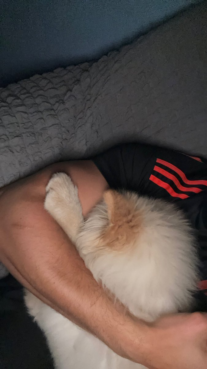 enleger340i's tweet image. Il aime trop dormir ds mes bras