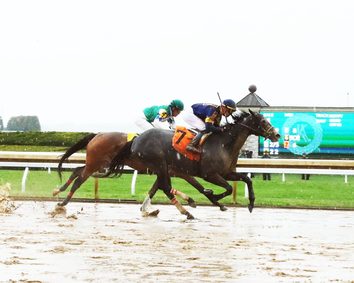 Tavria 🇺🇸 (Frosted – Kirov por Distorted Humor), con un accionar fuerte y oportuno en el tramo final, ganó, en la carrera #1 (Claiming) de <a href="/keeneland/">Keeneland</a> #25Abr, e hizo tiempo ⏱️ de: 1’46”45 (1700). Montó, Chris Landeros y entrenó, Ian Wilkes
📸: Coady Media