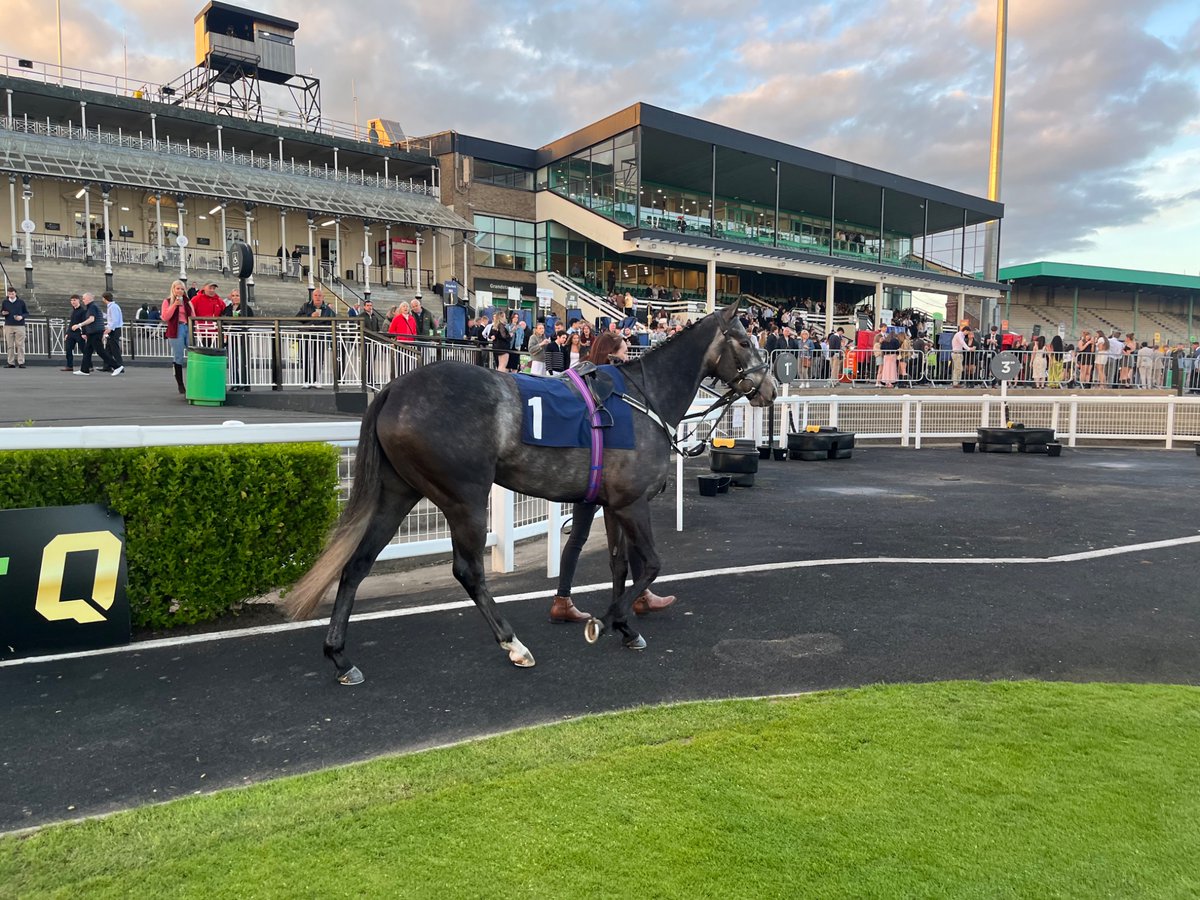 ReadForSpeed1's tweet photo. Madame plaintiff last night at Newcastle on her first run for us since leaving Gavin Cromnwell 🩶💚🩶💚🐎 https://t.co/G8DDf7R9hT