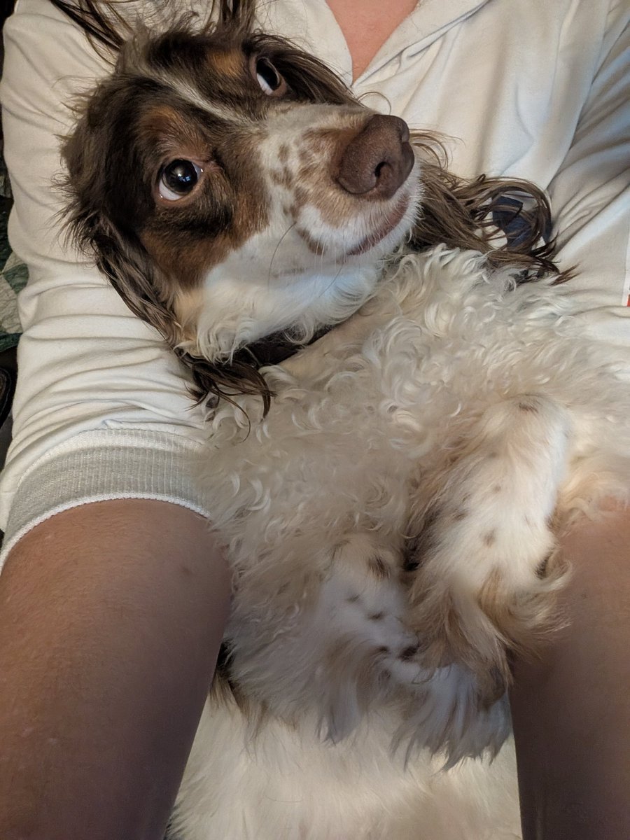 Post stream snuggles with Ollie. 🥰