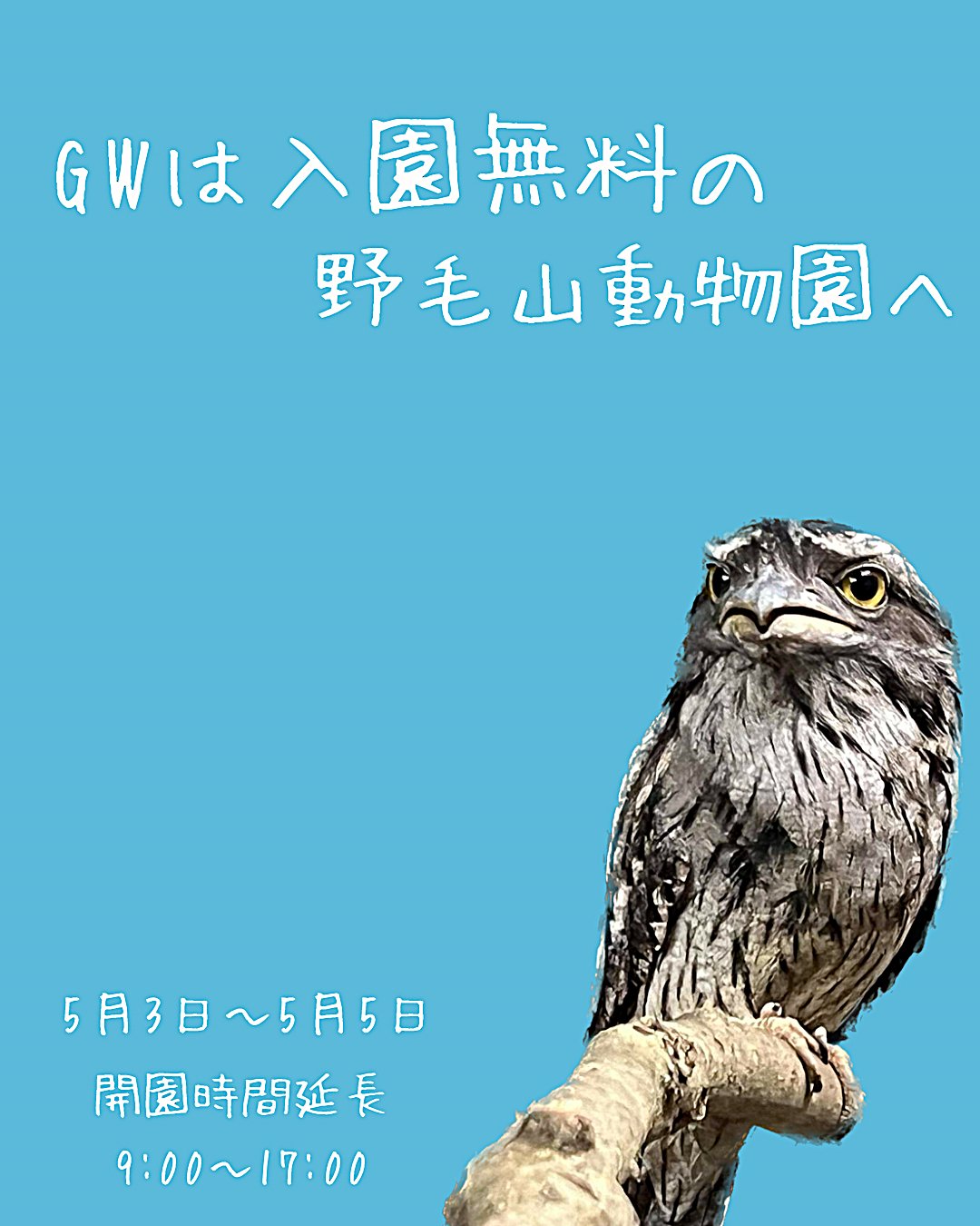 横浜市立野毛山動物園≪公式≫ (@nogeyamazoo401) / X