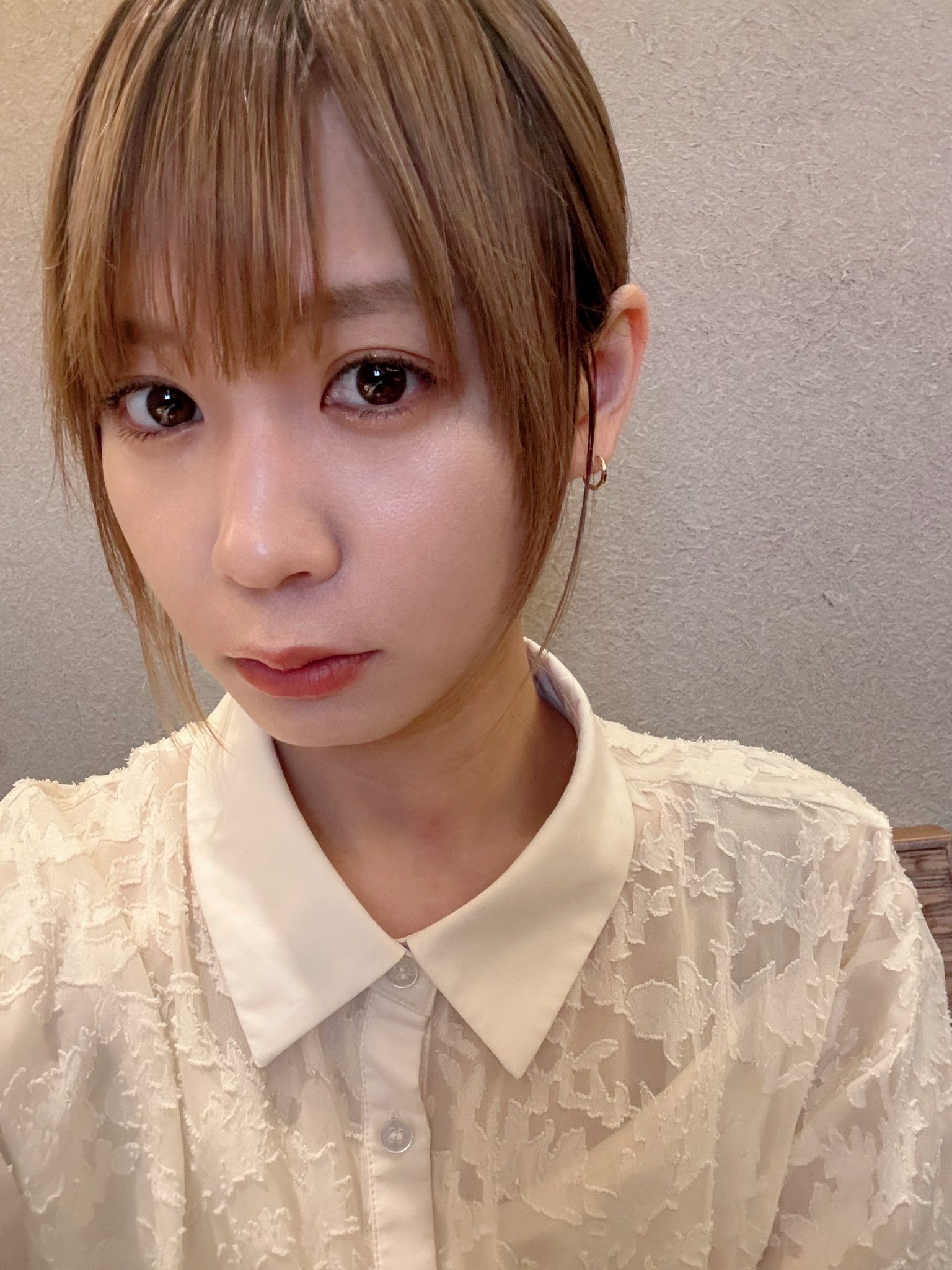 本日大幅値下げ　モモコグミカンパニー 本日大幅値下げ モモコグミカンパニー 本日大幅値下げ モモコ
