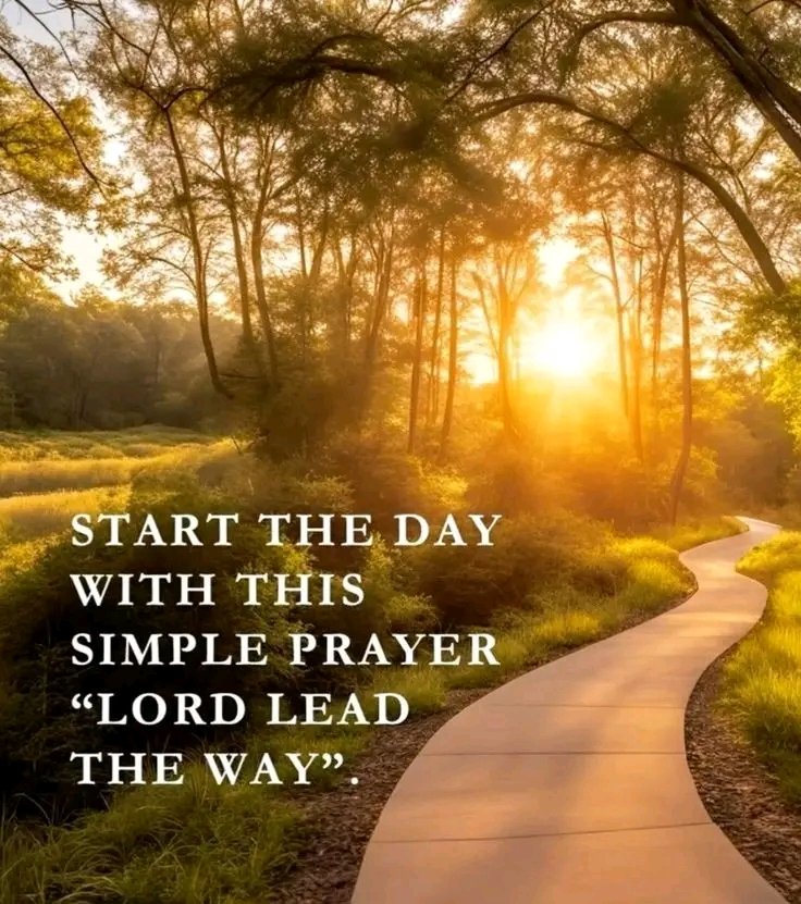 OSB🌹Röm. Kath.✝️🌹🇻🇦⚓ (@nadaliawieser) on Twitter photo 