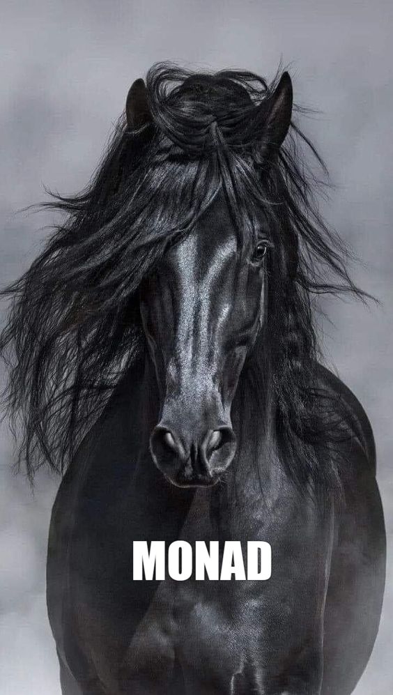 IT WILL MAKE OUR LIFE BEAUTIFUL😍