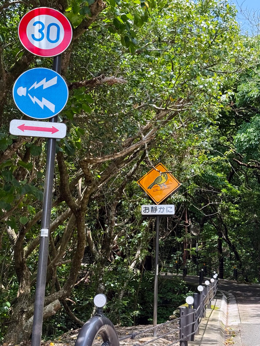 Lab_coat313's tweet photo. 1秒で矛盾する道路標識⚠️ https://t.co/3Idg2VtSN5