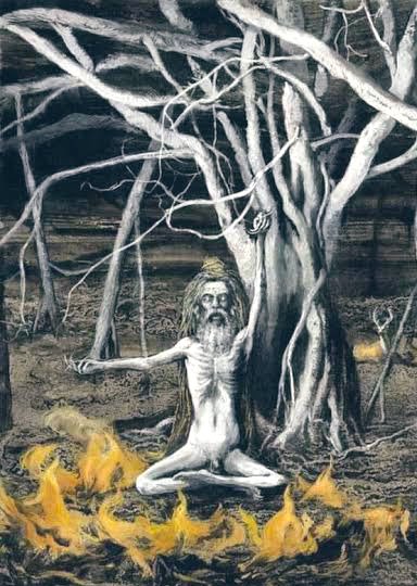 _vatsalasingh's tweet image. श्मशान में जब महर्षि दधीचि के मांसपिंड का दाह संस्कार हो रहा था तो उनकी पत्नी अपने पति का वियोग सहन नहीं कर पायीं और पास में ही स्थित विशाल पीपल वृक्ष के कोटर में 3 वर्ष के बालक को रख स्वयम् चिता में बैठकर सती हो गयीं।

इस प्रकार महर्षि दधीचि और उनकी पत्नी का बलिदान हो गया किन्तु…