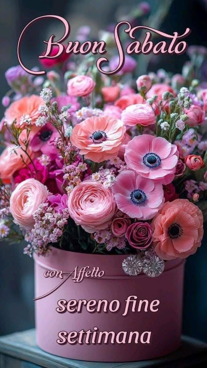 RITABIANCHi56 tweet media