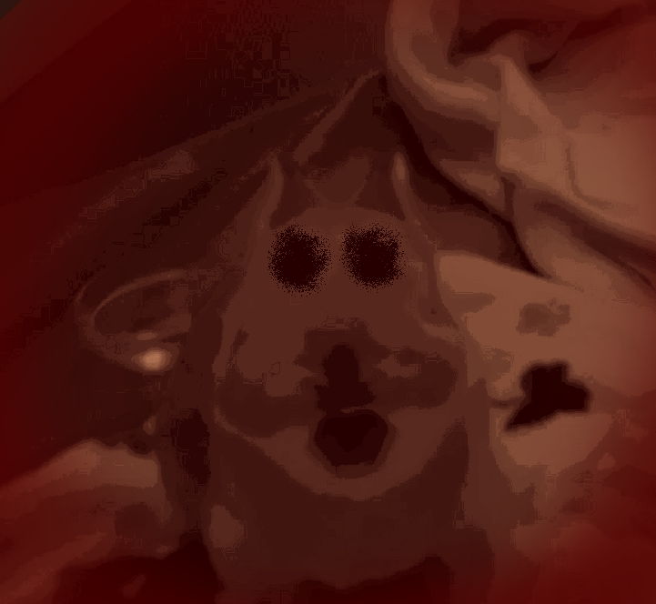 evil isaac tweet media