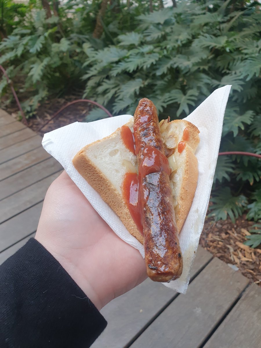 I GOT MY DEMOCRACY SAUSAGE 💖