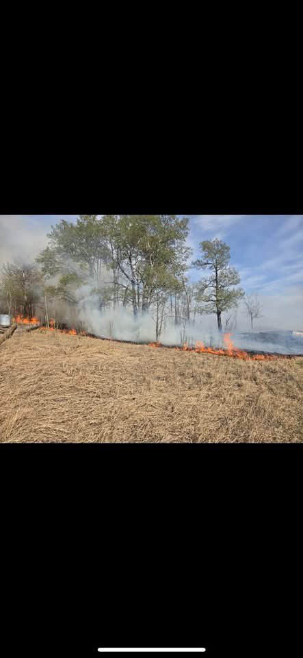 LarryNeufeldCon's tweet photo. 7 fires now in the South Peace region.

These photos from Doe River, fire is contained. Thanks to all the Doe River residents for stepping up and helping. 

It takes a community to pull together at times like these.

#bcstrong #wildfireseason https://t.co/5zhPoEG3gT