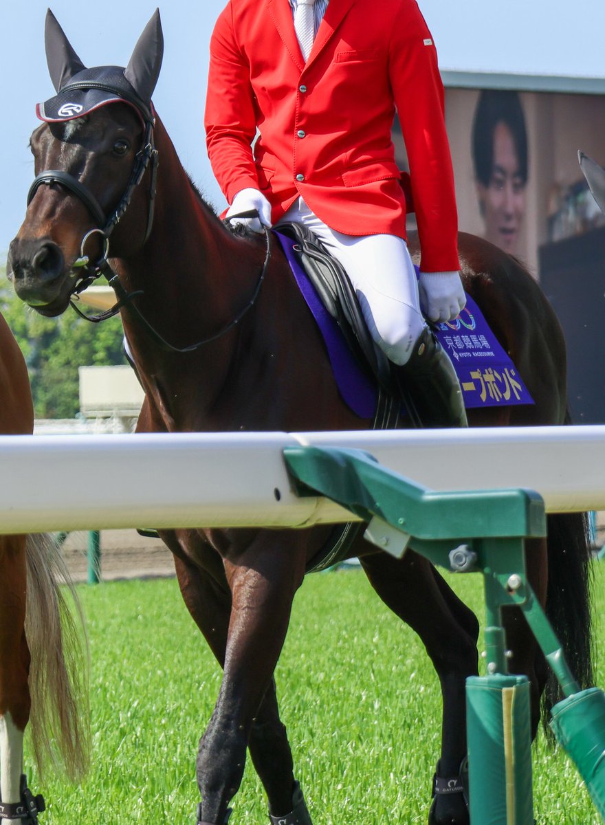 ディープボンドファンクラブ (@0218deepbond) / Posts / X