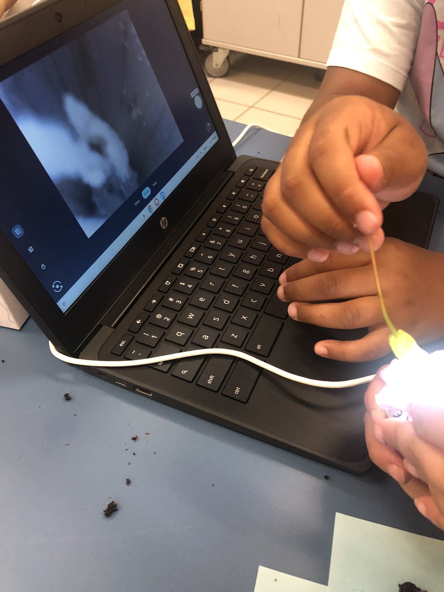 d_mctyre's tweet photo. @VBerikpetermann @BrookwoodElemen @vbschools 
What a great day using the microscopes to see plant parts. Photosynthesis and reproduction came to life! The kids had a blast investigating plants, dirt, and flowers! Thank you, Mr Petermann! https://t.co/GEqwLUYXRe