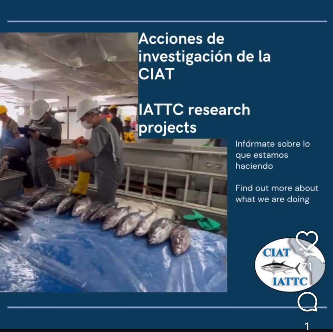 andresarens tweet media