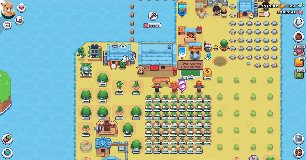 beca672003's tweet photo. #sunflowerlandFarm https://t.co/6tg47FC0E2