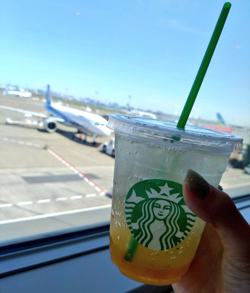 行ってきます✈️