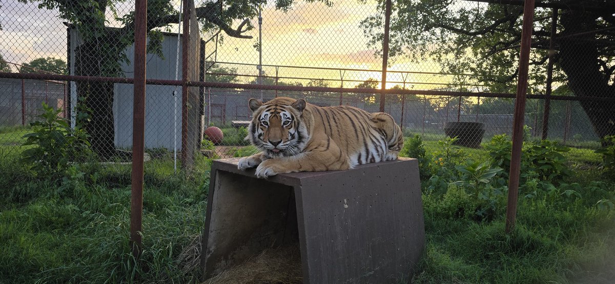 Melita lookin' pretty this evening